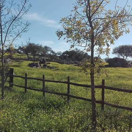 Los Canchales De Villar Villar del Rey